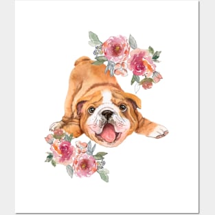 Cute English Bulldog Puppy Watercolor Art Posters and Art